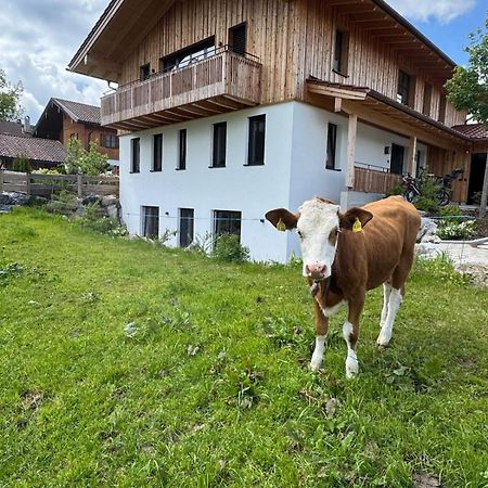 Ferienwohnung Gschwendt มีสบาค ภายนอก รูปภาพ