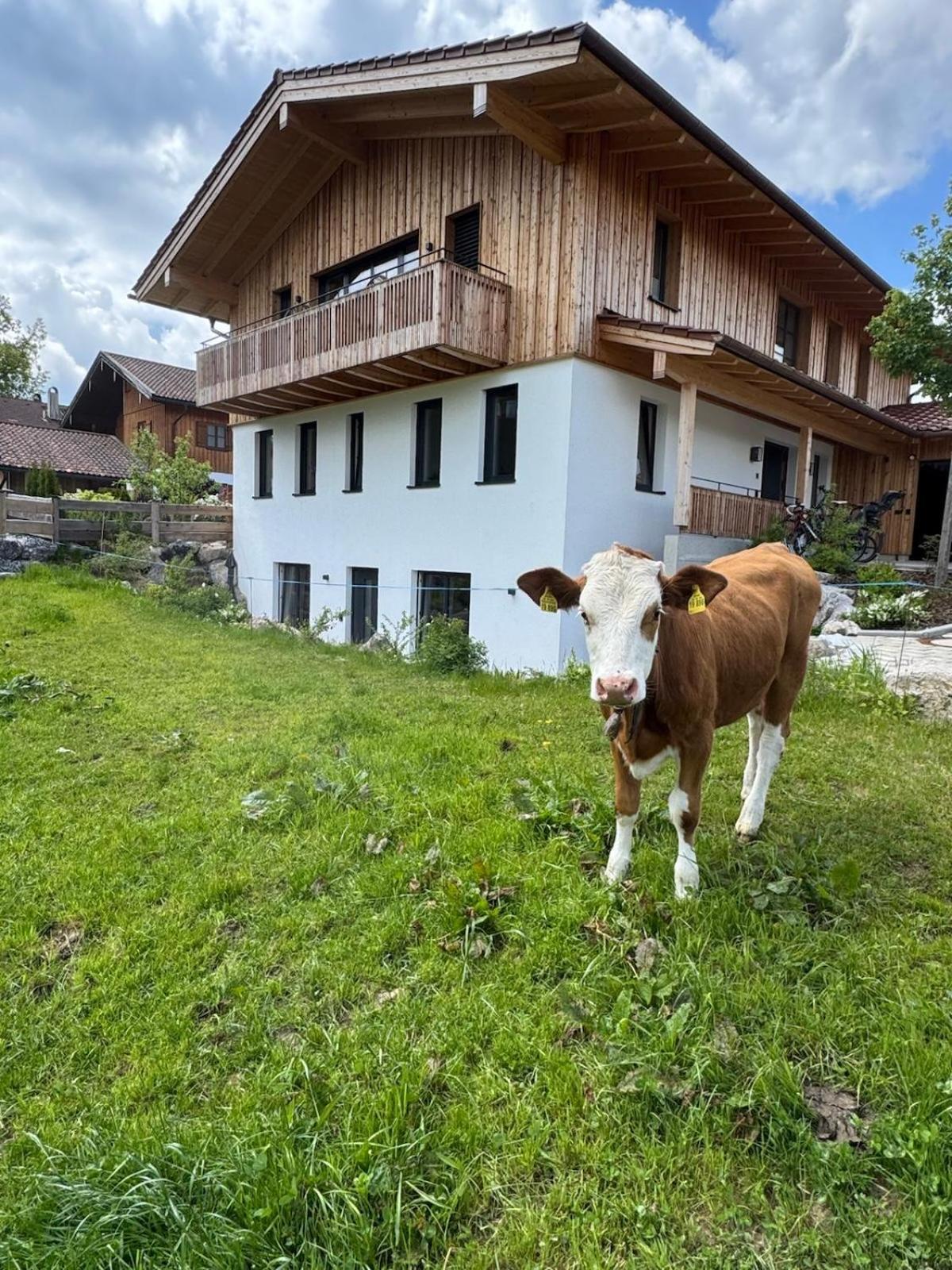 Ferienwohnung Gschwendt มีสบาค ภายนอก รูปภาพ